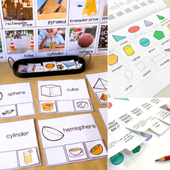 3D Shape Activities Pack