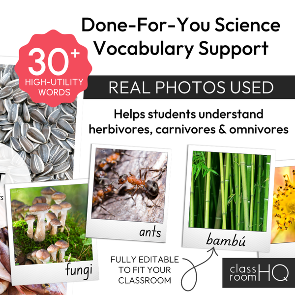 Animal Diet Vocabulary Posters Word Wall Nonfiction Science K-2