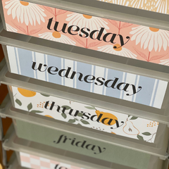 Editable 10 Drawer Cart Labels | COTTAGECORE Classroom Organisation Decor