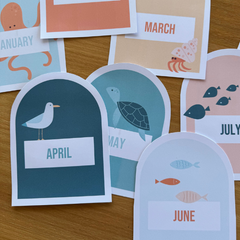 CALM SEAS Classroom Birthday Pack
