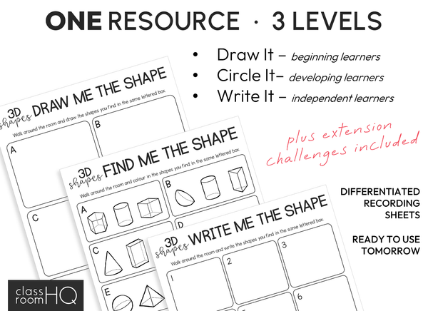3D Shape Write The Room Activity