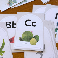 CACTUS Alphabet Posters