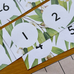 GUM LEAF Number Lines