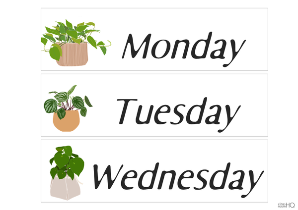 PLANT LIFE Flip Calendar