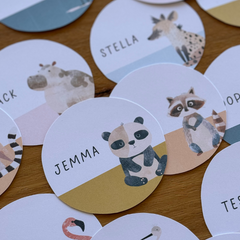 Editable Classroom Labels and Signs | Classroom Organization System | Neutral Safari Theme | ZOO TALES