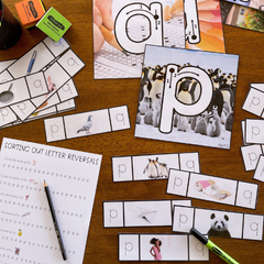 Letter Reversals - p + q Letter Confusion Pack