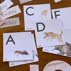 MODERN AUSSIE Word Wall Pack