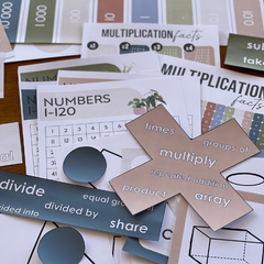 PLANT LIFE Math Resources Pack | Classroom Math Displays