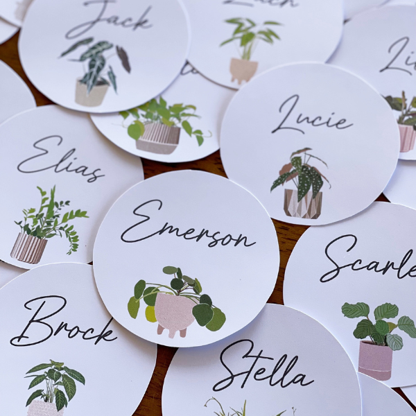 PLANT LIFE Classroom Labels + Signs Pack - classroom HQ