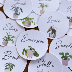 PLANT LIFE Classroom Labels + Signs Pack