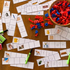 CVC Word Cards