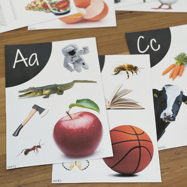 Alphabet Wall Posters with Non Fiction Photos | classroomHQ