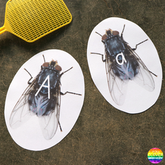 Alphabet + Number Fly Swat Cards