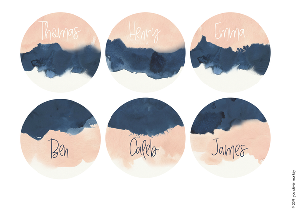 BLUSH + NAVY Classroom Labels + Signs Pack