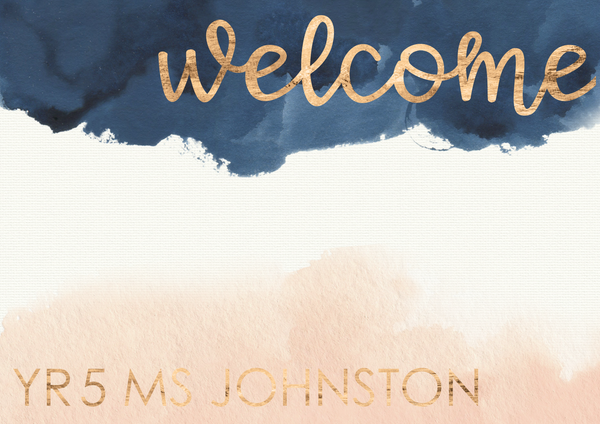 BLUSH + NAVY Classroom Labels + Signs Pack
