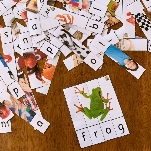 CCVC Word Cards + Puzzles