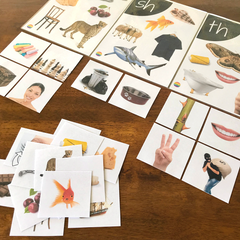 3-Part Picture Sound Cards - CH/SH/TH/WH Digraphs