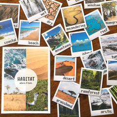 Animal Habitats Poster & Word Wall | Habitat Vocabulary Nonfiction Science K-2