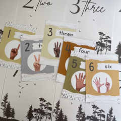 Editable Number Posters | Woodland Forest Theme Classroom Decor | 0–30 Math Display | INTO THE WOODS