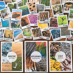 Non Fiction Animal Posters and Word Wall BUNDLE - Informative Text Writing
