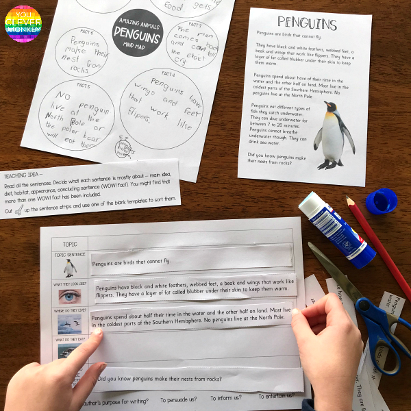 Informational Text Writing Pack - BIRDS