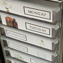 BOTANICA Rolling Cart Drawer Labels | Neutral Botanical Classroom Decor