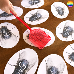 Ordinal Number Fly Swat Cards