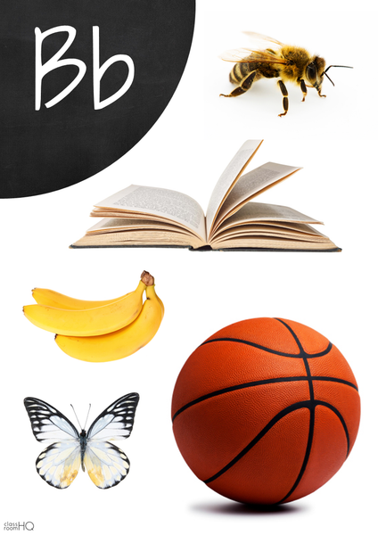 Letter B Alphabet Wall Posters with Non Fiction Photos | classroomHQ