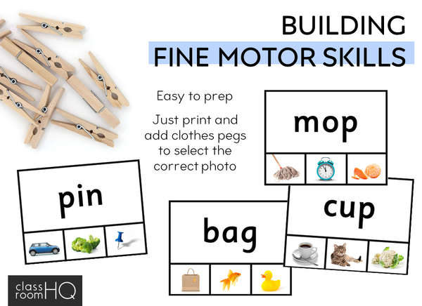 CVC Word Family Clip Cards | Science of Reading aligned