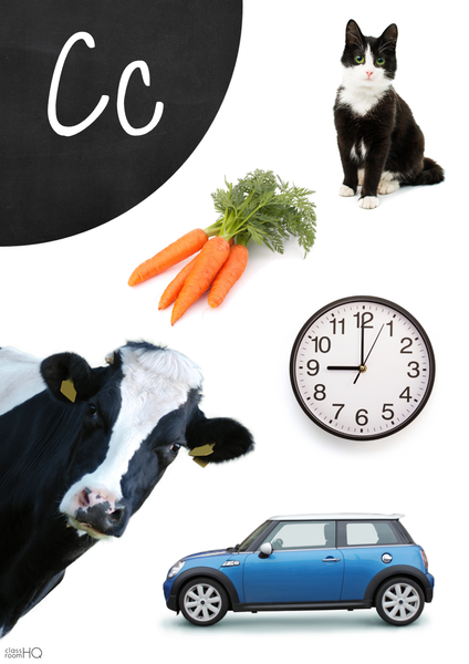 Letter C Alphabet Wall Posters with Non Fiction Photos | classroomHQ