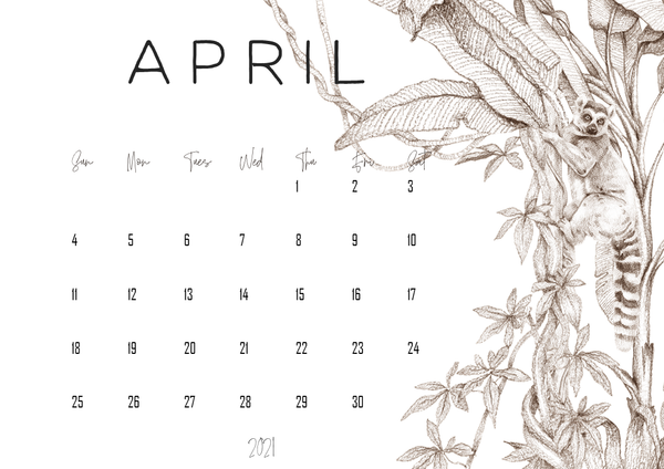 WILD TROPICS Simple Calendar
