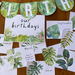 TROPICAL COAST Birthday Display Pack